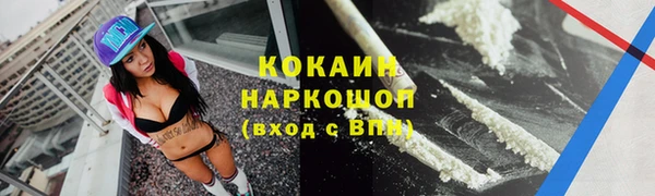 хмурый Ладушкин