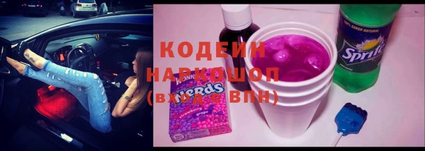 хмурый Ладушкин