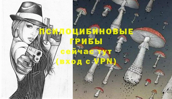хмурый Ладушкин