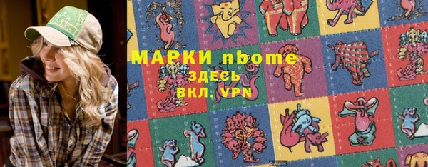 хмурый Ладушкин
