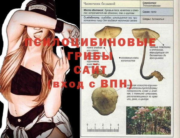хмурый Ладушкин