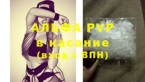 хмурый Ладушкин