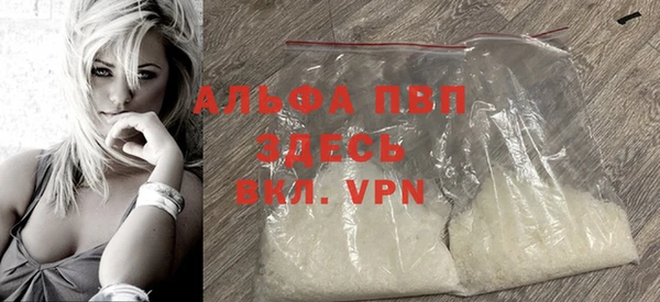 хмурый Ладушкин